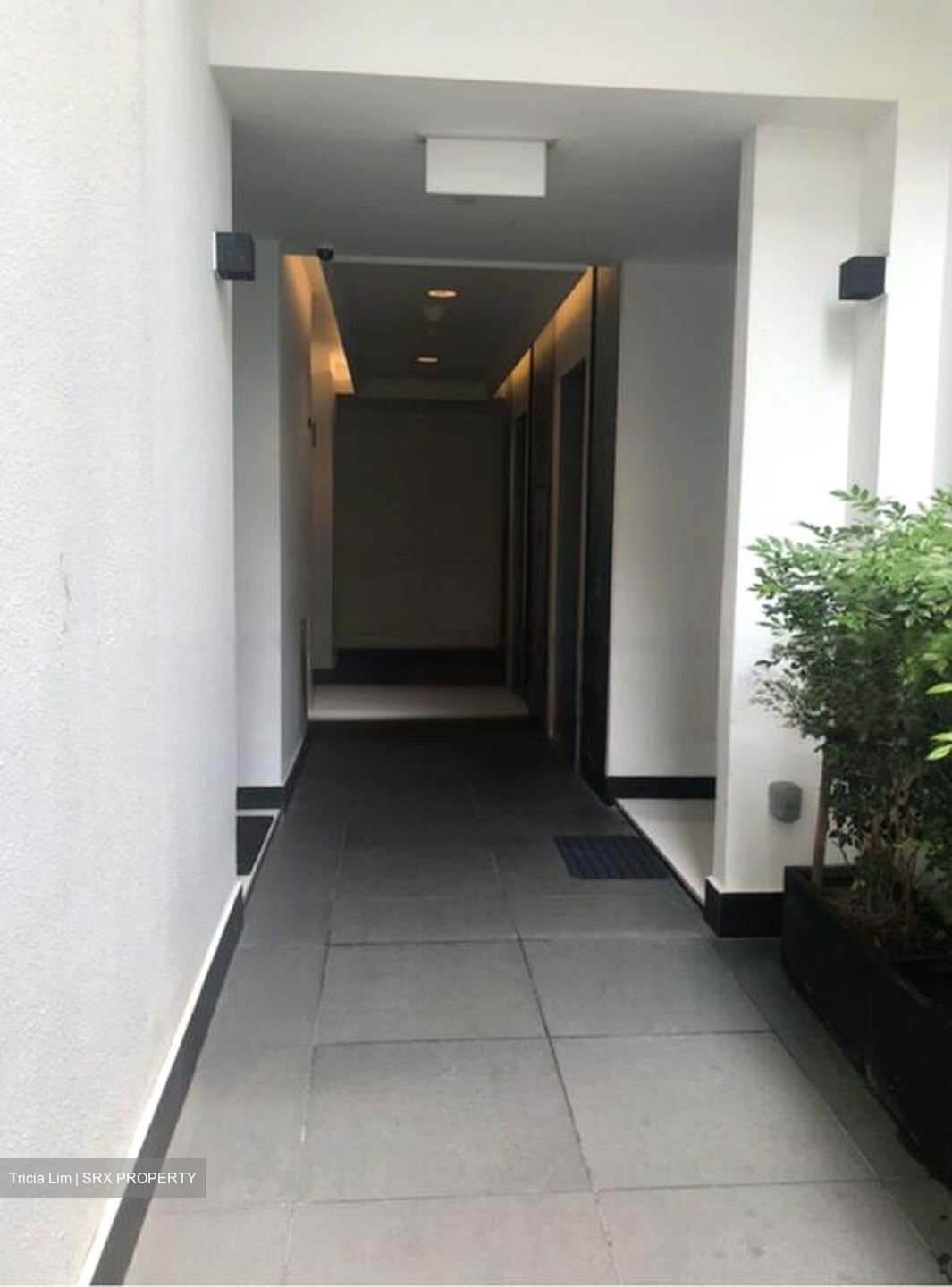 1919 (D9), Apartment #477514721